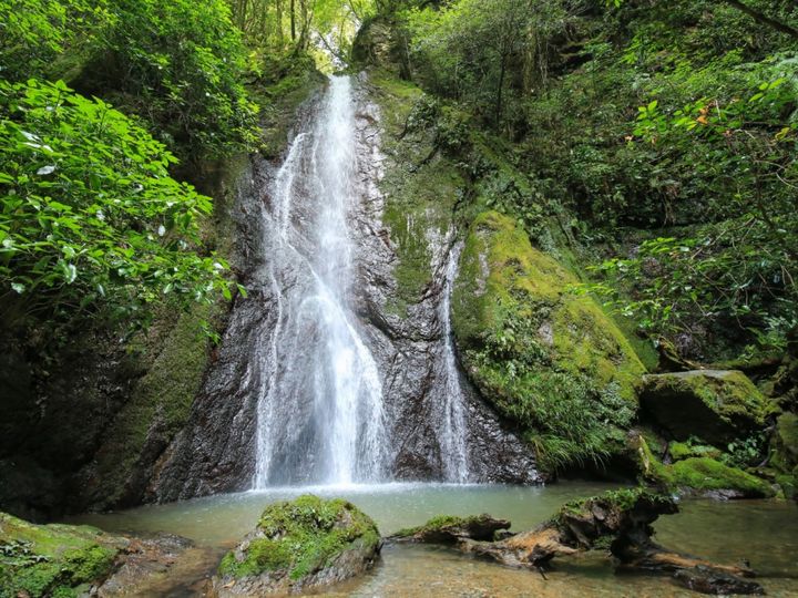 All About ニュース編集部が全国250人を対象に実施した「冬の観光に関するアンケート」の調査結果から、冬に行きたい「愛媛県の滝」ランキングを発表！ 2位「紅葉ケ滝」を抑えた1位は？