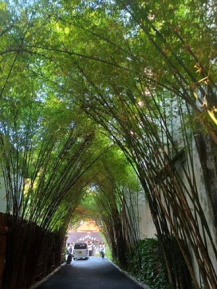 インド先生2月ブログ⑫