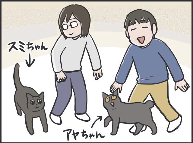 動けない夫婦と猫1.PNG