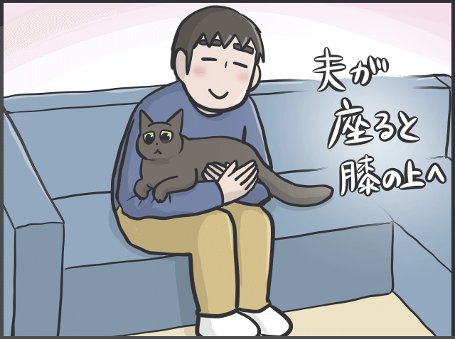 動けない夫婦と猫3.PNG
