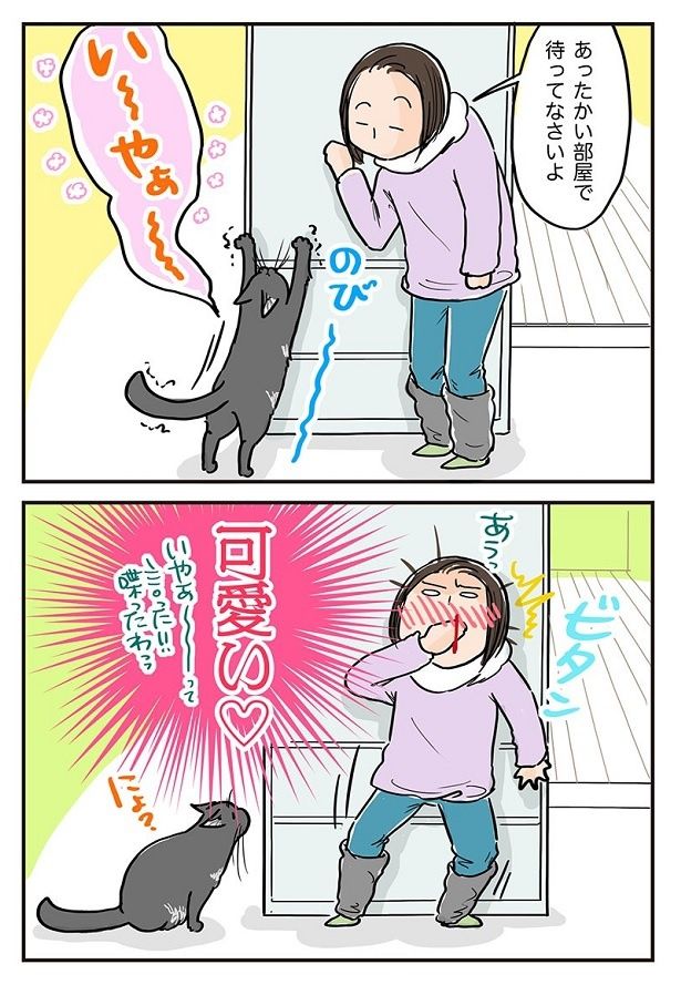 藤緒さんが声をかけると…「い～やぁ～」!? 協力：藤緒ミルカ(@mirumirupakupa1)