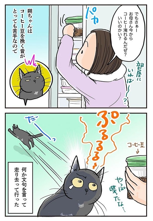 苦手なコーヒー豆の登場に、朔ちゃんがまた、しゃべる!? 協力：藤緒ミルカ(@mirumirupakupa1)