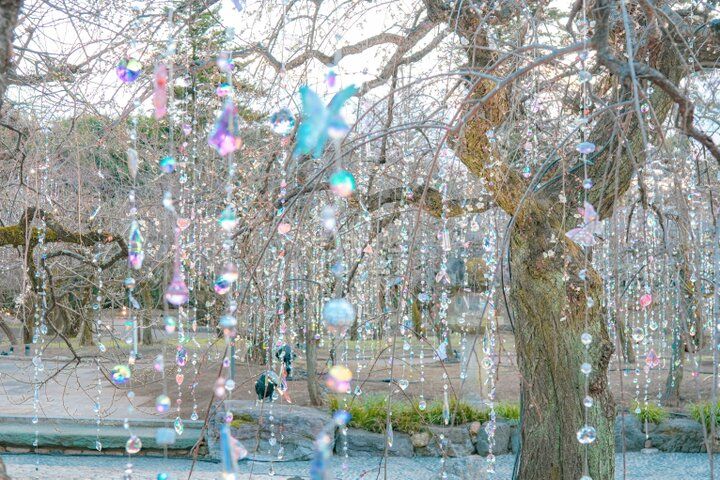 京都・北野天満宮がアート空間に。蜷川実花 with EiMが彩る「KYOTO NIPPON FESTIVAL 2026ｰ時をこえ、華ひらく庭ｰ」