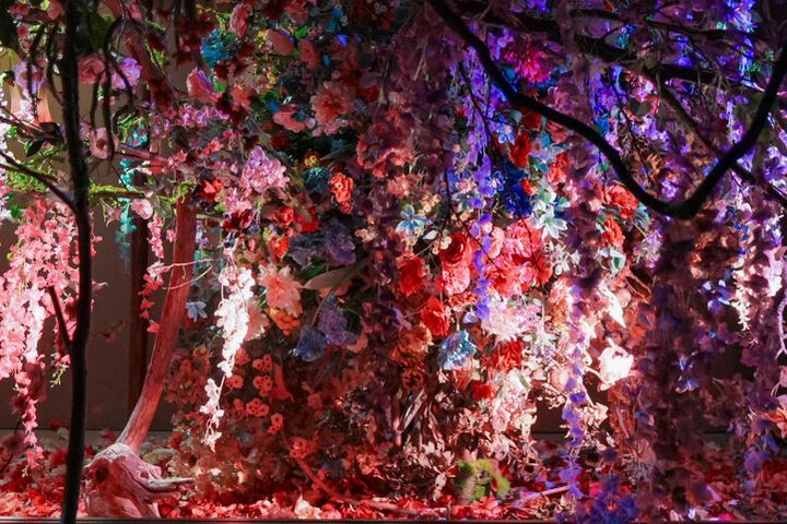 京都・北野天満宮がアート空間に。蜷川実花 with EiMが彩る「KYOTO NIPPON FESTIVAL 2026ｰ時をこえ、華ひらく庭ｰ」