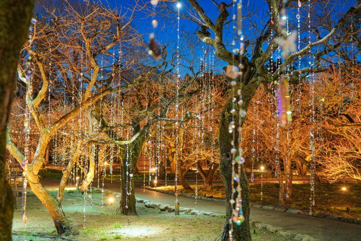 京都・北野天満宮がアート空間に。蜷川実花 with EiMが彩る「KYOTO NIPPON FESTIVAL 2026ｰ時をこえ、華ひらく庭ｰ」