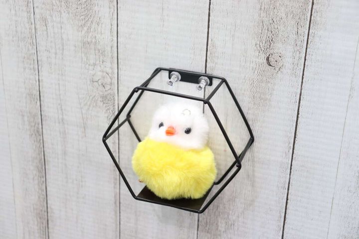 ダイソーのアイアン壁掛けインテリア収納（六角形）使用例2