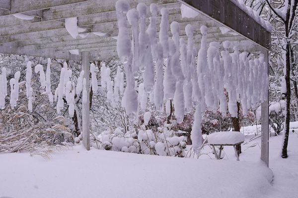 【東京都渋谷区】透明な美しさを放つ花器を展示。ガラス作家・高臣大介氏の企画展を原宿で限定開催