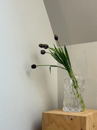 【東京都渋谷区】透明な美しさを放つ花器を展示。ガラス作家・高臣大介氏の企画展を原宿で限定開催