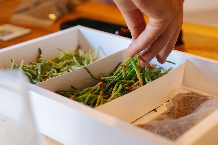 ロイグがドバイ産の食材の一つとして広めたいというサリコルニア。