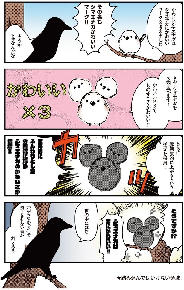 シマエナガを３羽並べます！ （C）青春／KADOKAWA