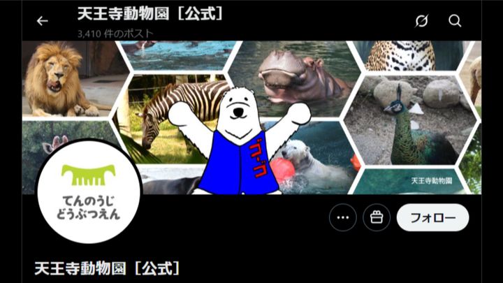 天王寺動物園の公式Xより