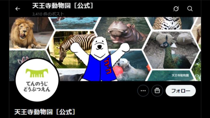 横浜市のよこはま動物園ズーラシアで2月8日、多くのファンに愛されたホッキョクグマの「ゴーゴ」が息を引き取りました。