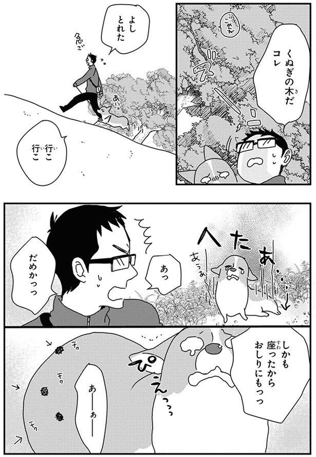 くぬぎの木だ (C)らくだ／KADOKAWA