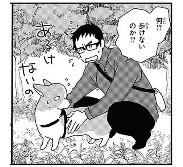 クヌギには気をつけろ！思わぬトラップにかかる散歩中のワンコ (C)らくだ／KADOKAWA
