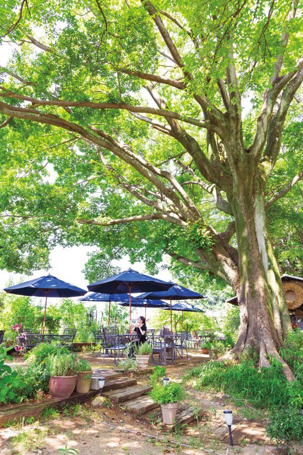 Garden ＆ Cafe Prunus