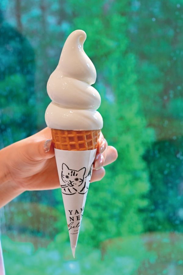 山里のジェラテリア 山猫