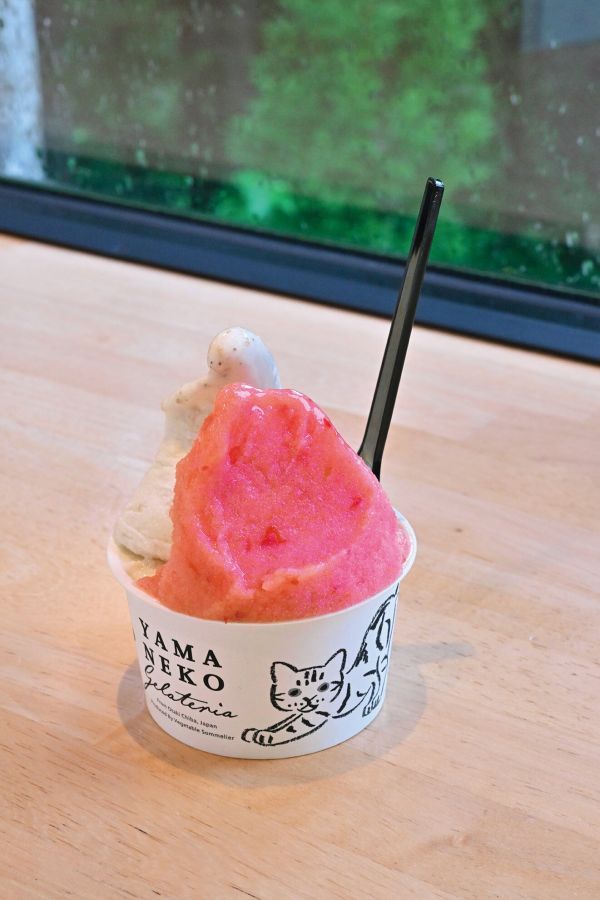 山里のジェラテリア 山猫