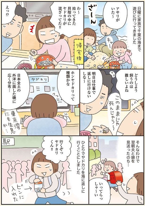 行くぞっヤドカリくん！！ （C）たかぎなおこ／KADOKAWA