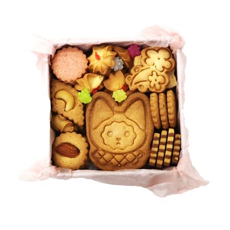 猫好きのためのブランド「NEKO LAB」から、色であそぶ春のクッキー缶が登場！