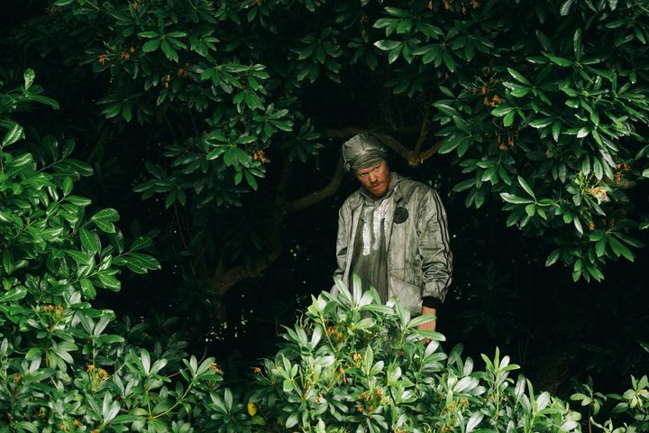 映画『ブゴニア』新場面写真 （C）2025 FOCUS FEATURES LLC. width=