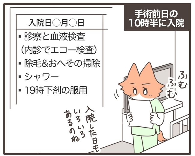 貧血放置で子宮筋腫手術／宮島もっちー
