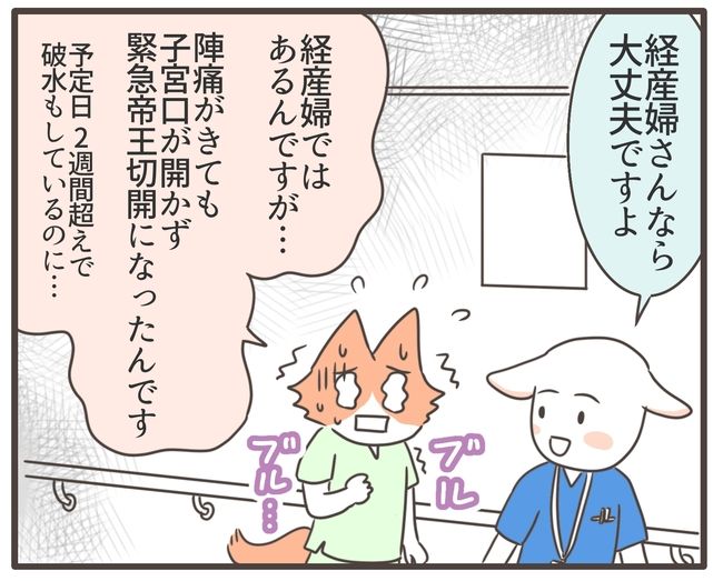 貧血放置で子宮筋腫手術／宮島もっちー