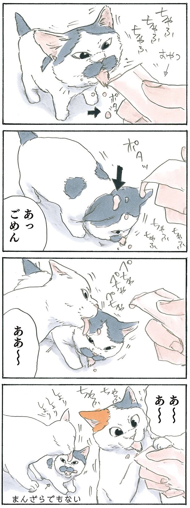 あーあ （C）にごたろ／KADOKAWA