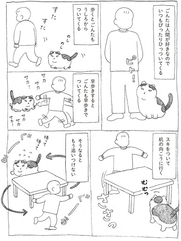 ごんたは人間が好きなので (C)オイル富／KADOKAWA