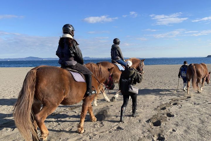 「砂浜お散歩コース」平日23500円、土日祝25000円