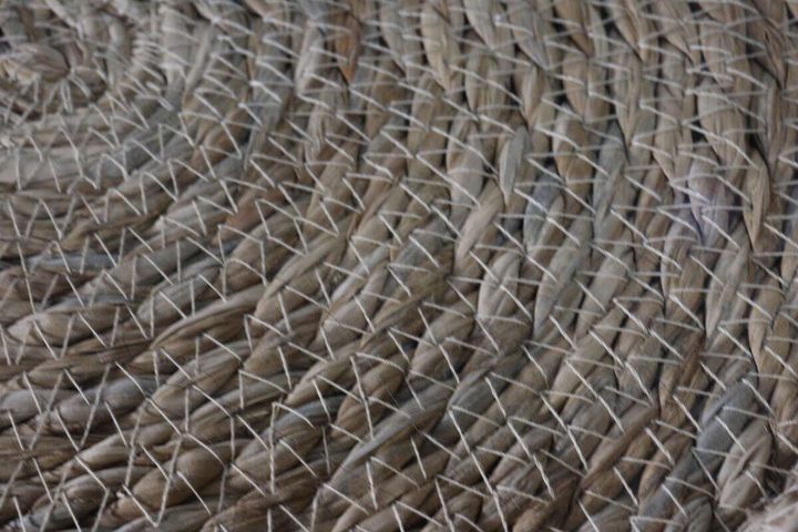 ダイソー 水草バスケット（丸型） 作り