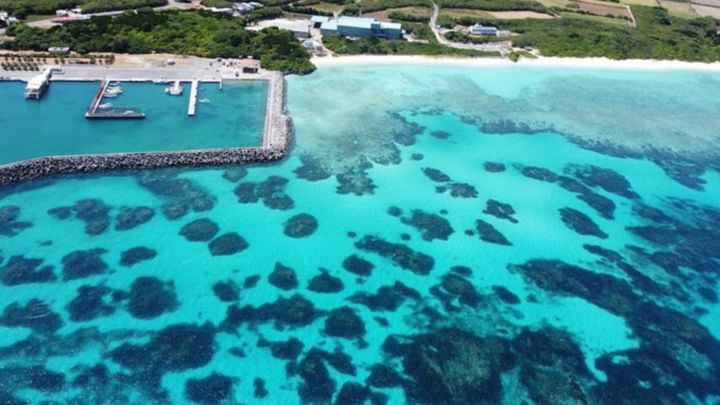 「…怖いか？ 徹底的に搾り上げたうえに廃棄物さえ出さずに利用する我ら組織の存在が」