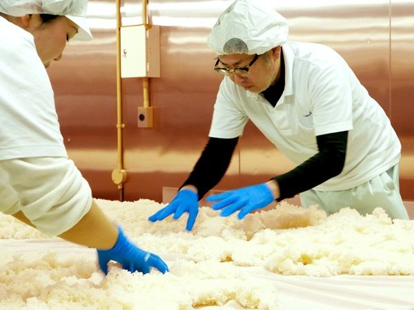 広島県呉市の三宅本店、年に一度仕込む春の酒「千福 花の奏(かなで)純米大吟醸新酒」数量限定発売！