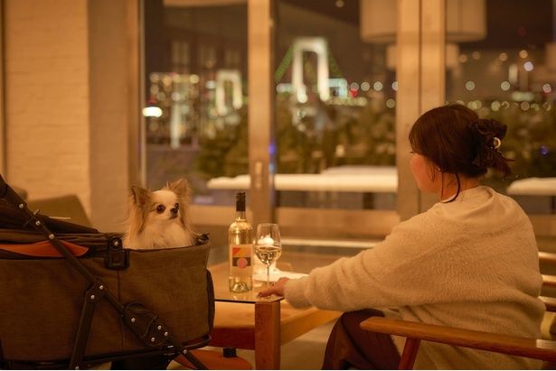 レインボーブリッジを望む特等席で愛犬と乾杯！