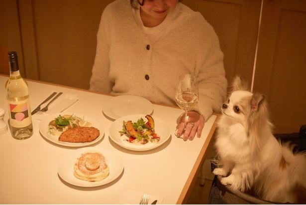 「bills」史上初！ペットと楽しむ「バレンタインコース」が期間限定で登場