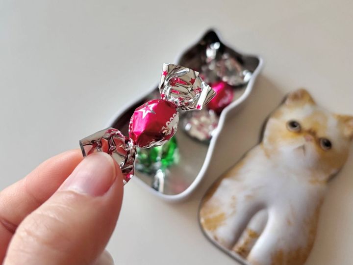 【カルディ】「ミニねこ缶」が今年も登場！可愛いデザインはバレンタインのプチギフトにも♡