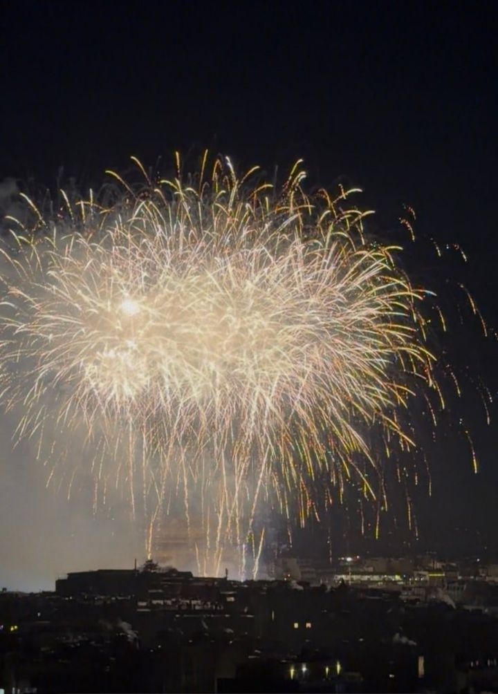Bonne année! 美術館巡りや、五つ星ホテルでのお食事で迎える新年【夢見るパリ】