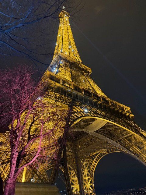 Bonne année! 美術館巡りや、五つ星ホテルでのお食事で迎える新年【夢見るパリ】