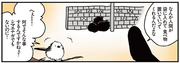 なんでそんなことするんですかねぇ？ （C）青春／KADOKAWA