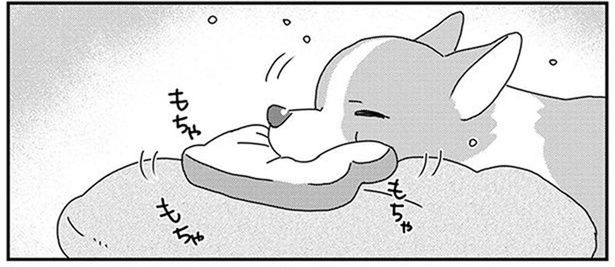 おもちゃを手放したくないワンコと、それを洗濯したい飼い主さんの攻防戦 (C)らくだ／KADOKAWA