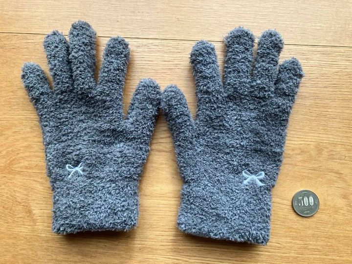 Seria(セリア)：レディースふわふわグローブ リボン刺繍