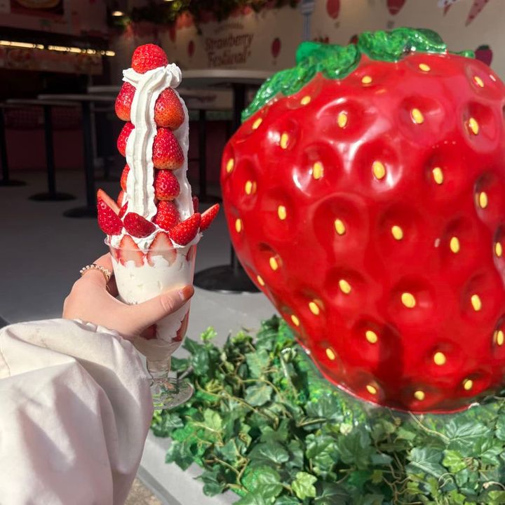 Strawberry Chocolate House