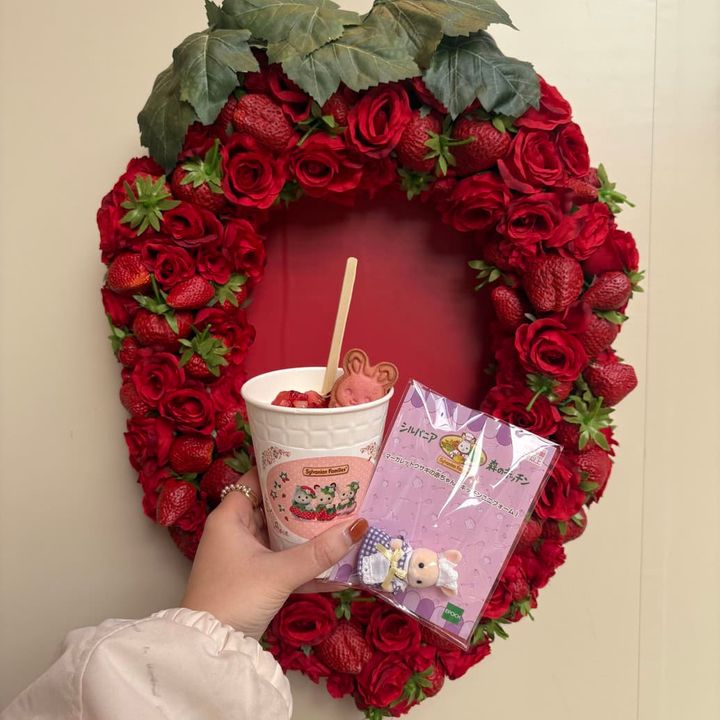 シルバニア森のキッチン