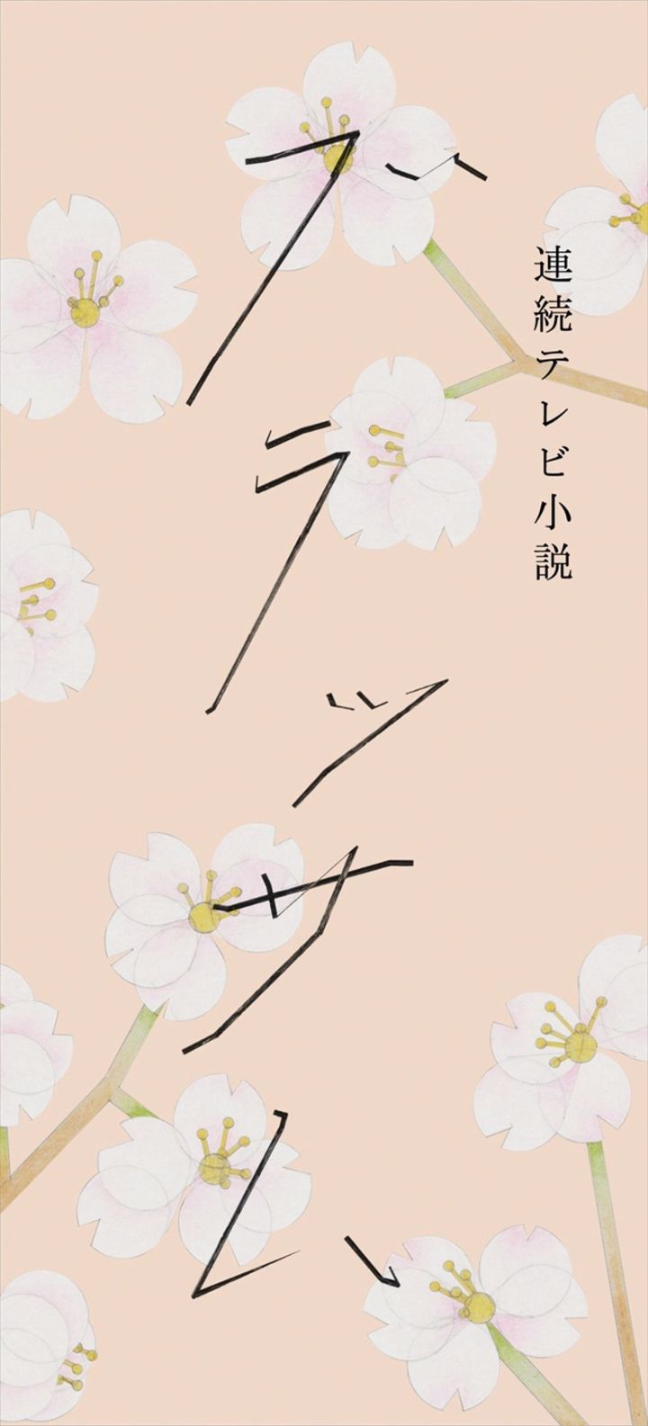 連続テレビ小説『ブラッサム』タイトルロゴ （C）NHK width=