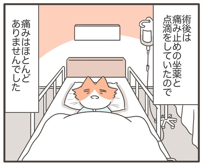 貧血放置で子宮筋腫手術／宮島もっちー