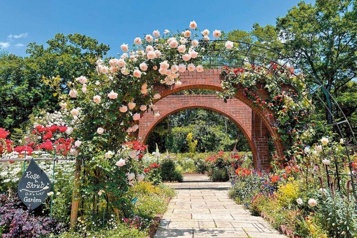 花好き必見！ 東京ドーム65個分の広さ【国営武蔵丘陵森林公園】の2〜5月のフラワーリレー