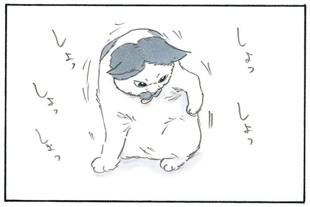 美味しいものを食べた後は… （C）にごたろ／KADOKAWA