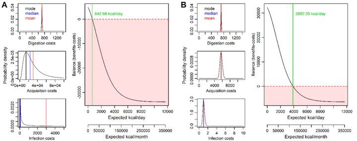 カニバルの損得を数理モデルで解き明かす