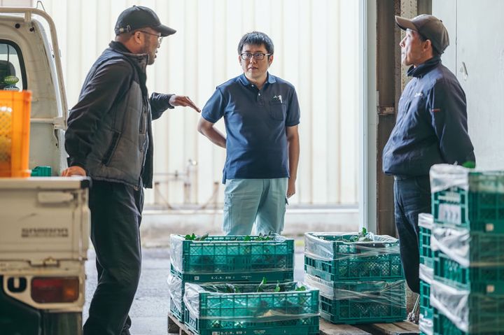 ブロッコリーの出荷