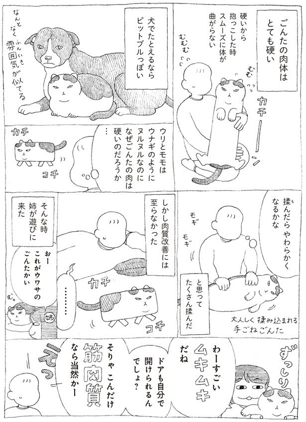 ごんたの肉体はとても硬い (C)オイル富／KADOKAWA