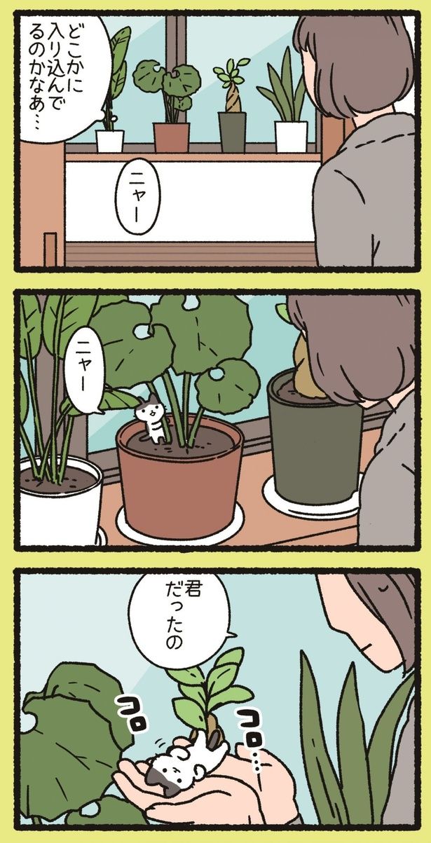 君だったの （C）ぱんだにあ／竹書房